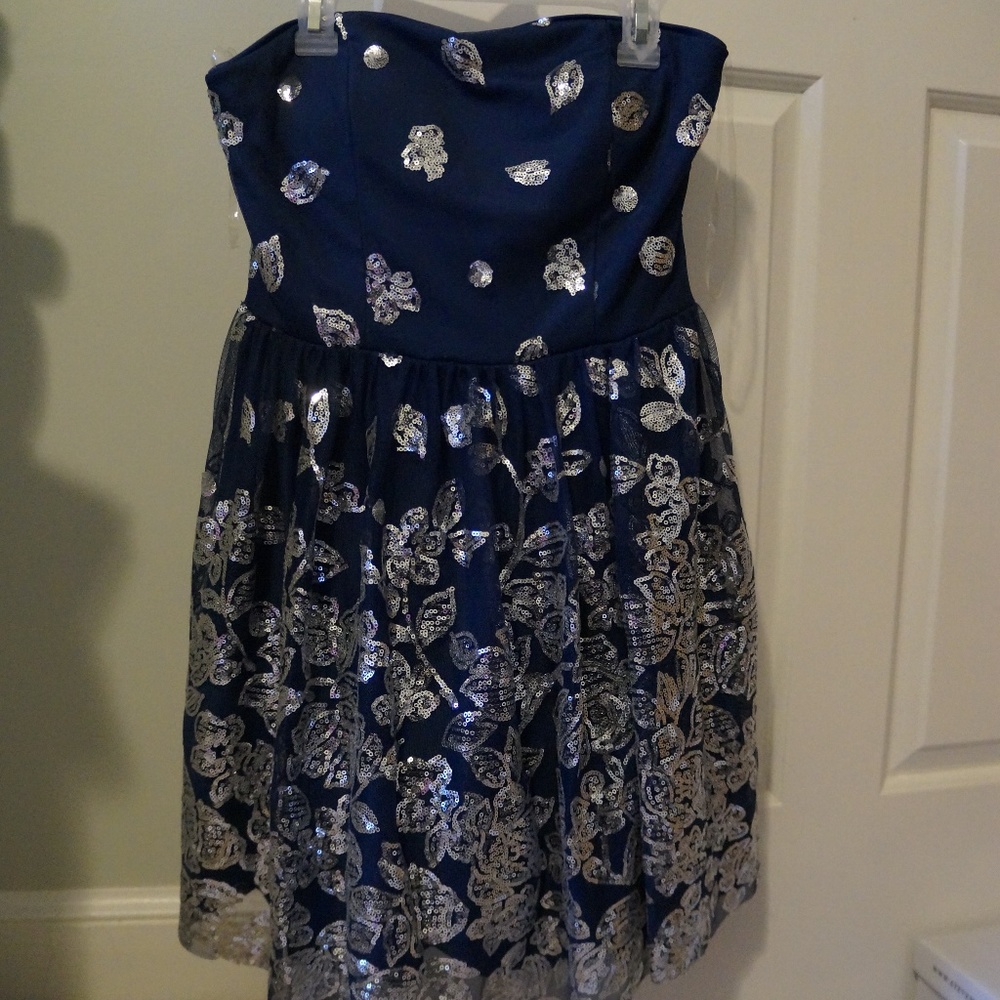 Love, Nickie Lew Blue/Silver Dress